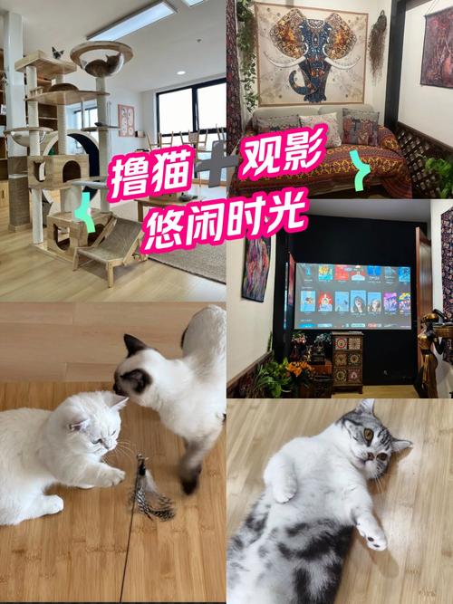 噜噜影院的相关介绍