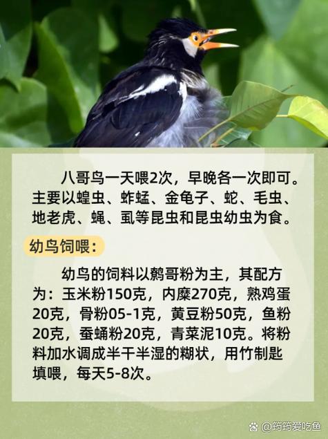 狂操美女老师视频的相关介绍
