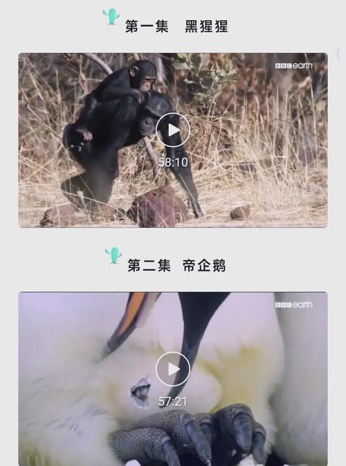 亚洲男人天堂激情的相关介绍