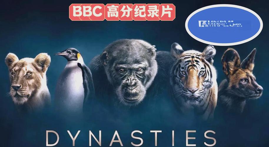 91影院的相关介绍