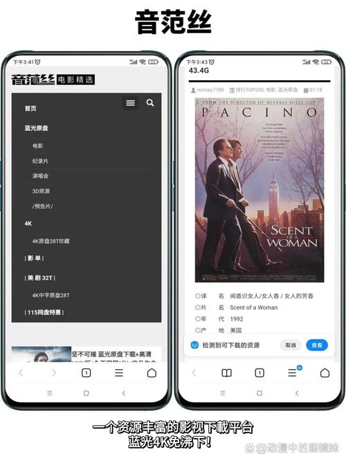 女生下体分泌物淡黄色的相关介绍