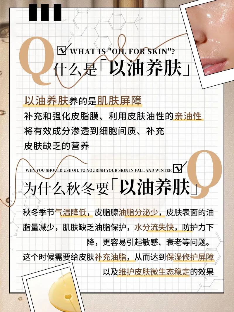 仔仔影院的相关介绍