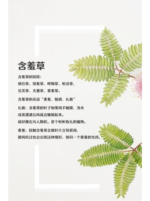 人妻少妇情欲在线的相关介绍