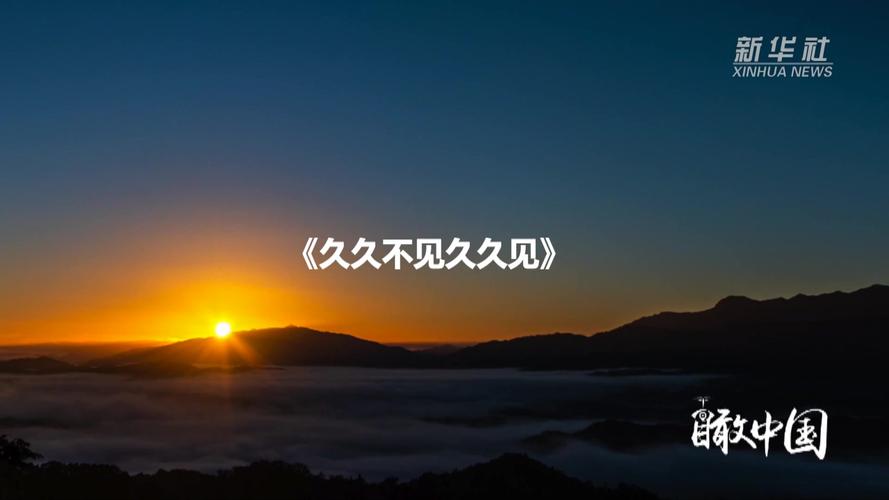 老湿影院48x的相关介绍