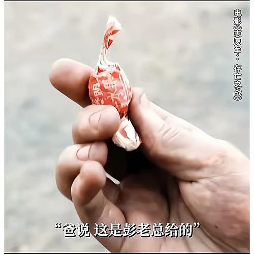 张柏芝大尺度照的相关介绍