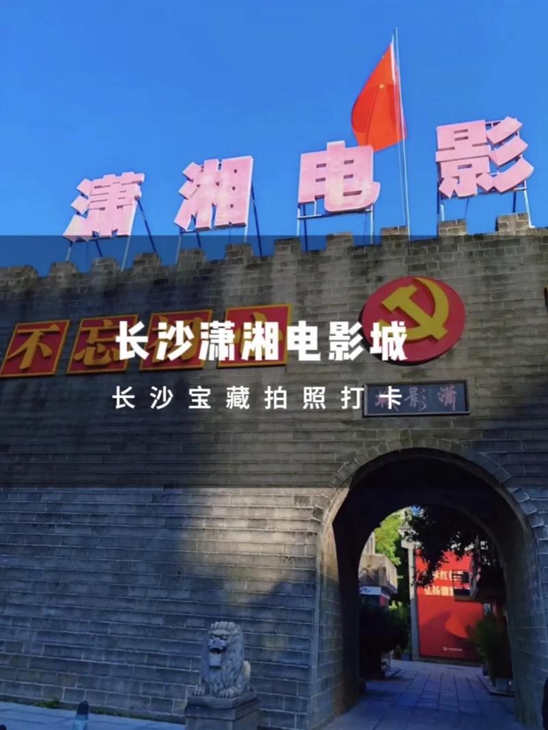iidvd影院的相关介绍