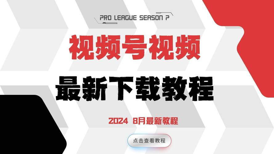 东北女人黄色录像的相关介绍