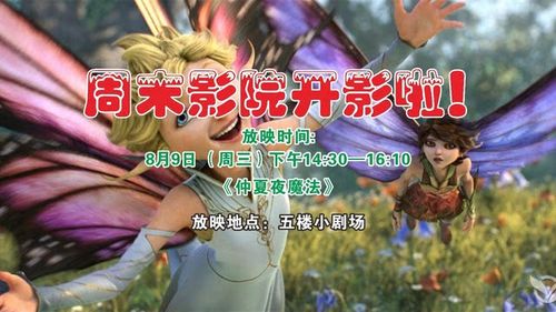 意大利一级伦理片的相关介绍