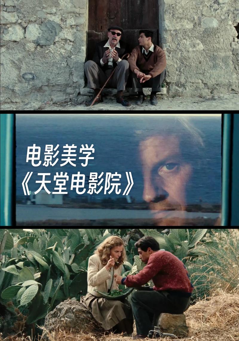 强d漂亮雪白丰满少妇av的相关介绍