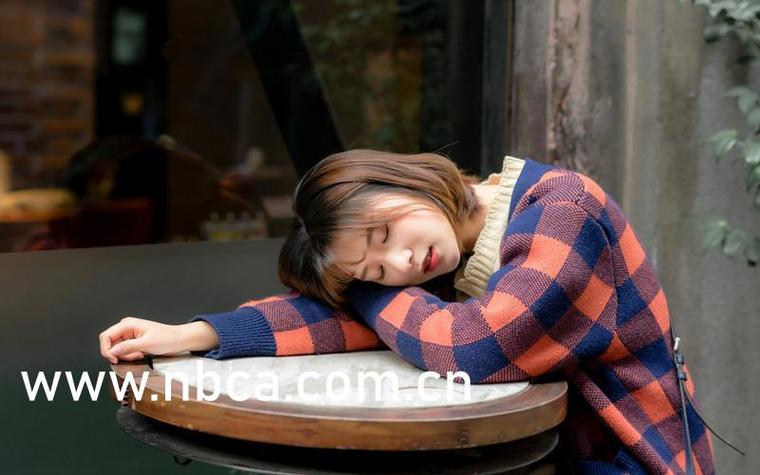 成人18禁视频在线看的相关介绍
