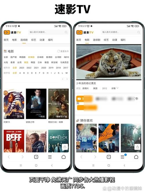 成年人该看的毛片的相关介绍