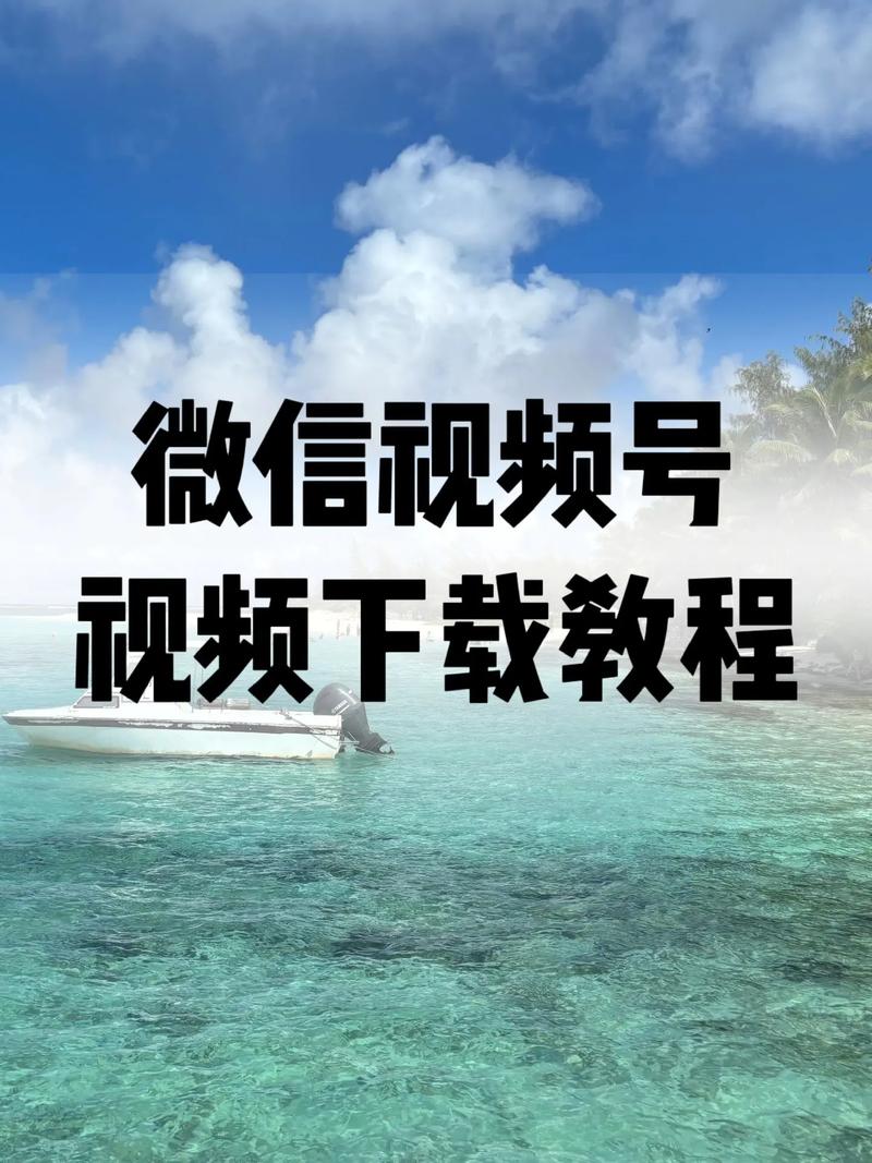 琪琪色国产精品的相关介绍