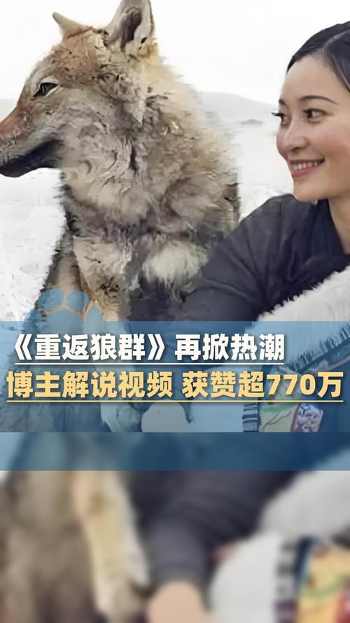 亚洲av日韩综合一区尤物的相关介绍
