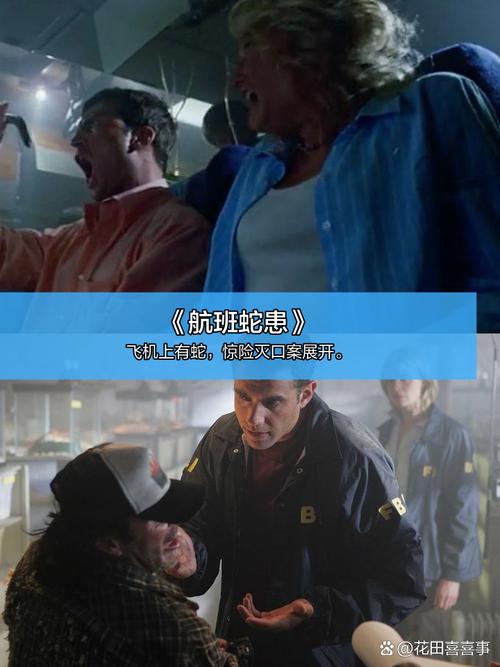 淘剧影院的相关介绍