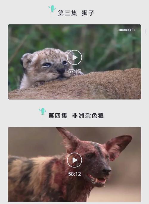 依恋影院在线观看的相关介绍