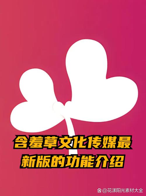 18岁禁网站在线观看的相关介绍