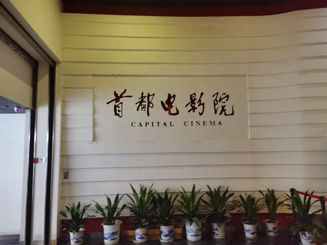 精品久久激情的相关介绍