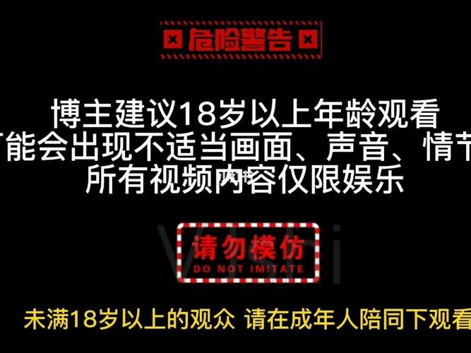 夫妻看的毛片的相关介绍