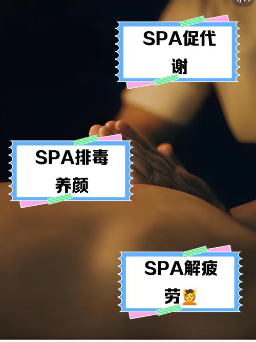 在线视频观看app下载的相关介绍