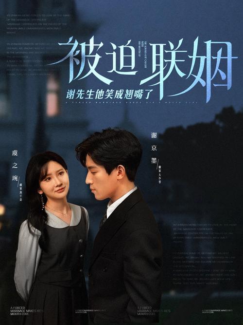 电驴影院的相关介绍