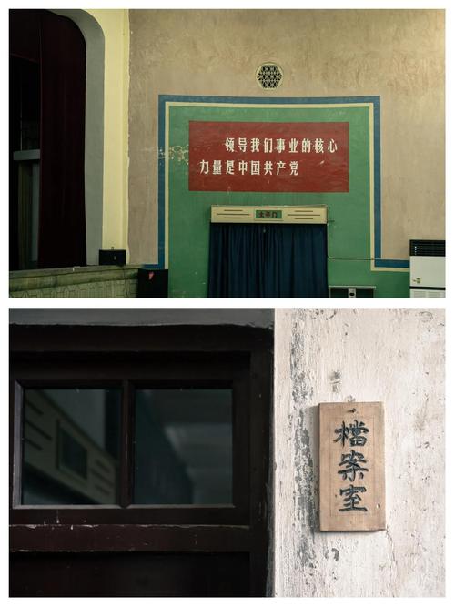 成年人性毛片的相关介绍