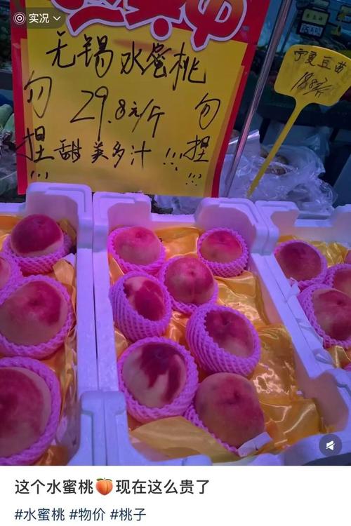 午夜影院费试看757的相关介绍