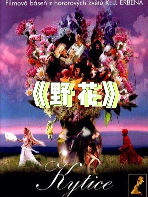 情色意大利的相关介绍