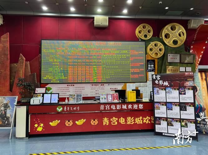 成年女人免费播放影院的相关介绍