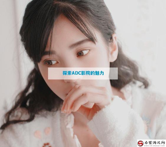 人人dvd影院的相关介绍