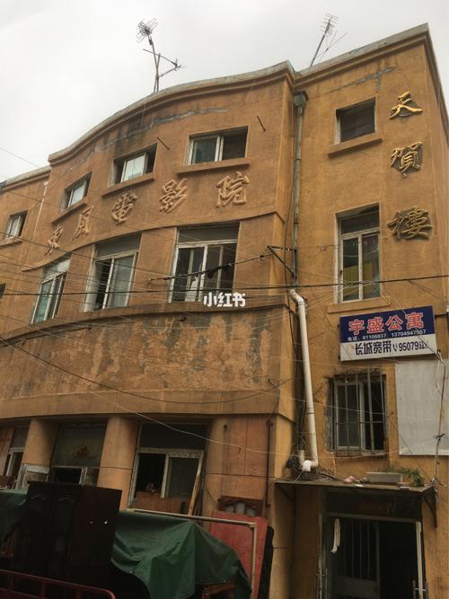 高清女大学在毛片的相关介绍