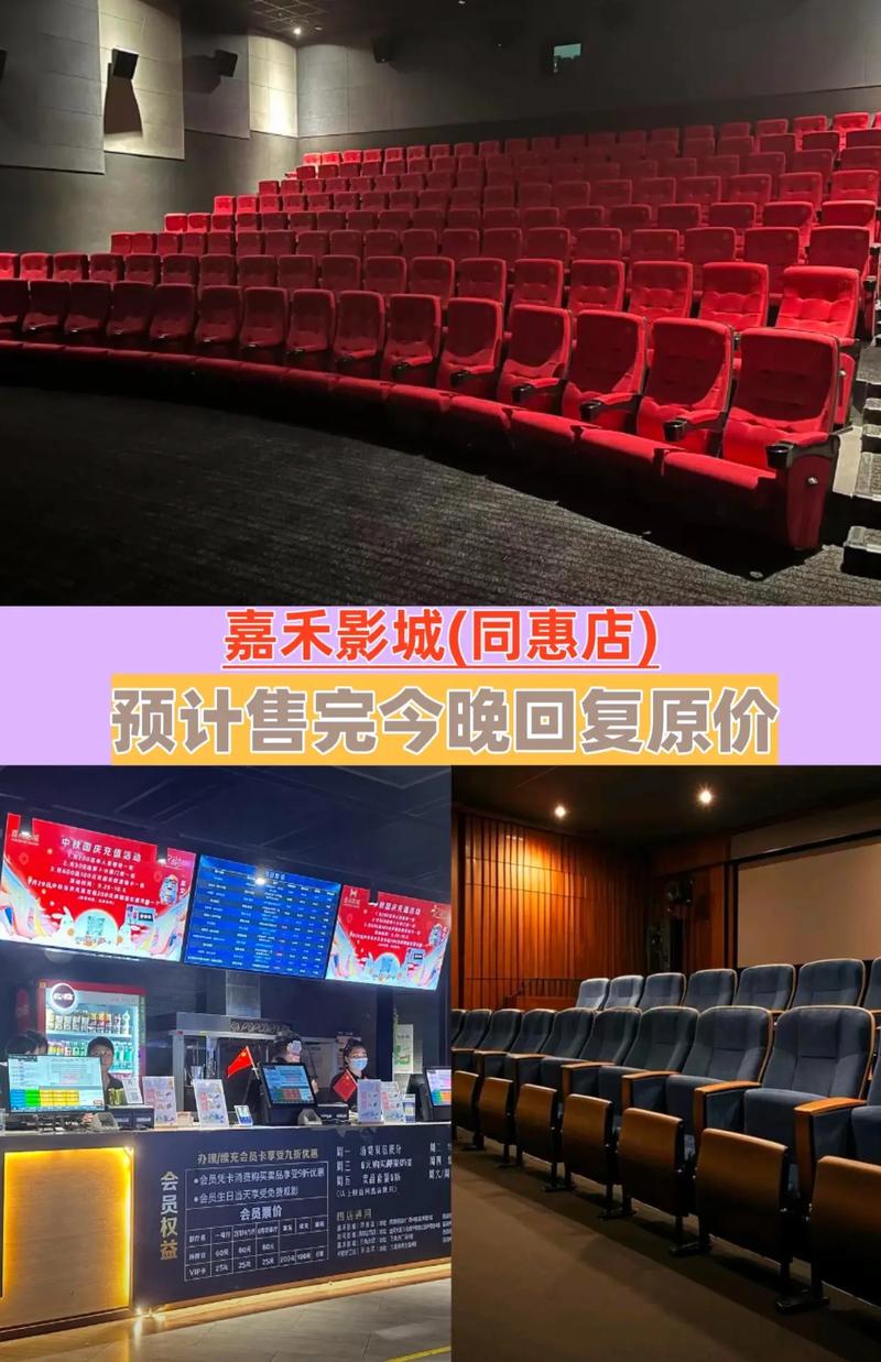 少妇aaaaaa片免费看的相关介绍