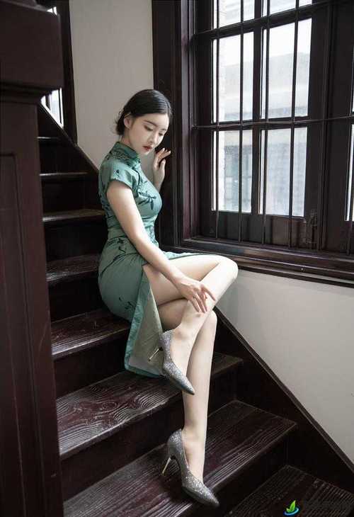 午夜dj影院的相关介绍