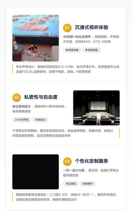 午夜影院成人的相关介绍