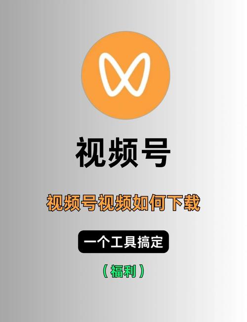 2022最新不卡国产毛片的相关介绍