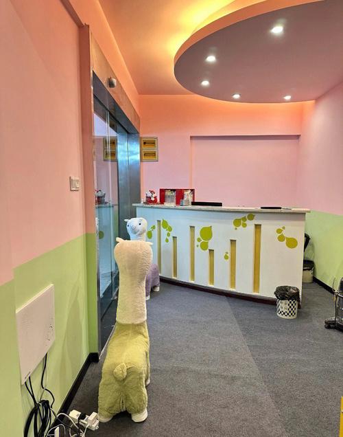 老司机影院你懂得的视频免费的相关介绍