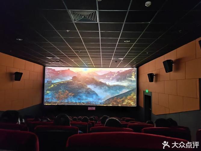 神马影院午夜我不卡的相关介绍