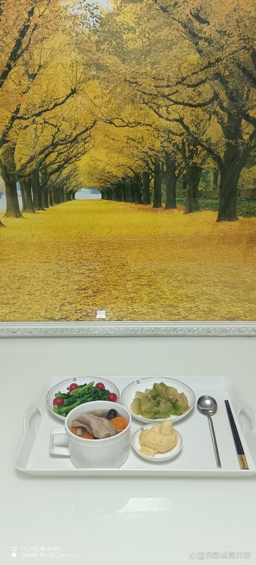 人妻啪啪在线观看的相关介绍
