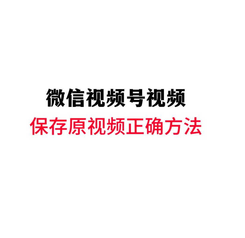 舔白浆视频的相关介绍