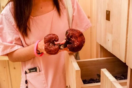 男人扒开女人添高潮的av的相关介绍