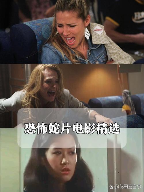 女人啪啪免费看的相关介绍