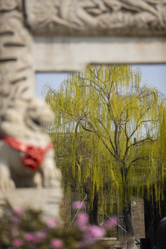 大地影院西瓜视频的相关介绍