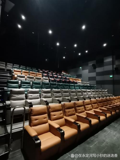 2828电影海鸥影院的相关介绍