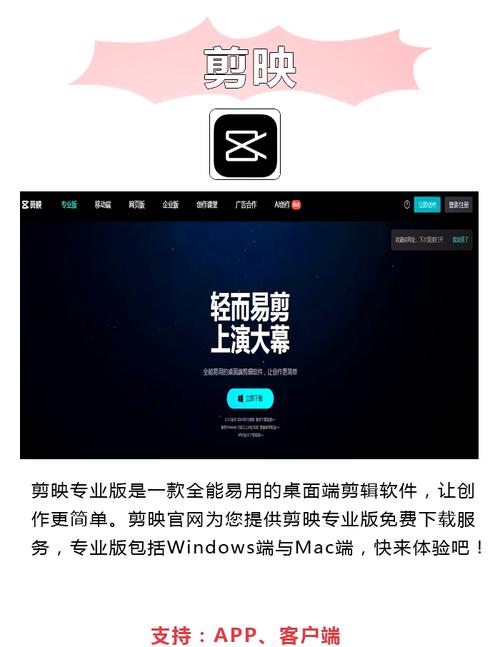 辣文凌辱的相关介绍