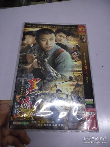 辣文强暴的相关介绍