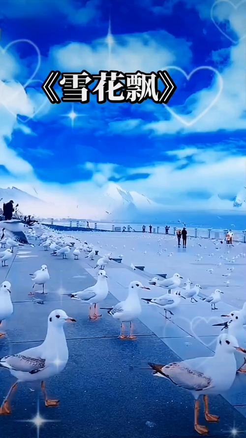 18禁日本免费网站的相关介绍