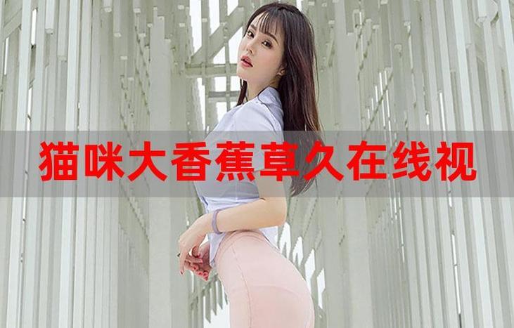 看一下毛片的相关介绍