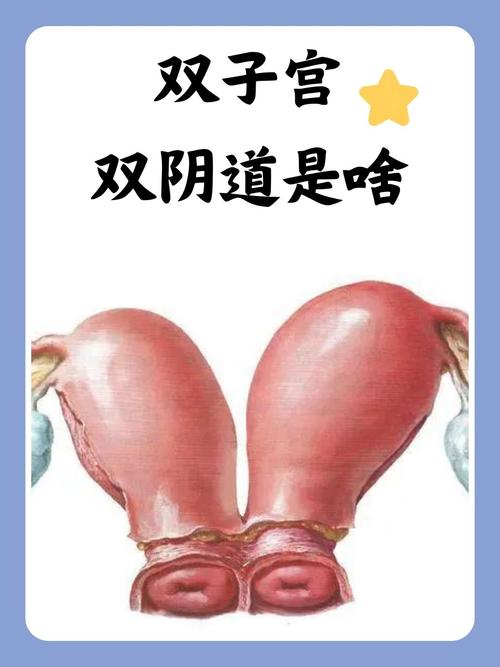 一边摸的相关介绍