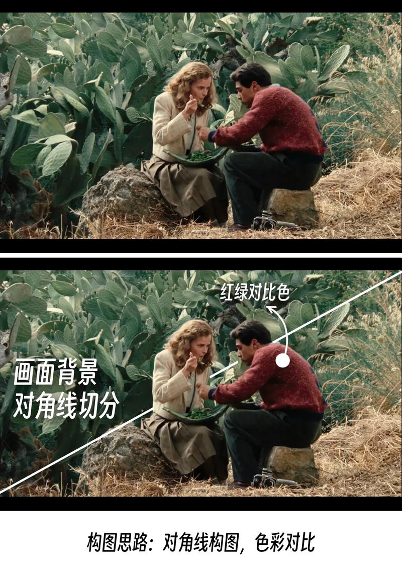 放映影院的相关介绍