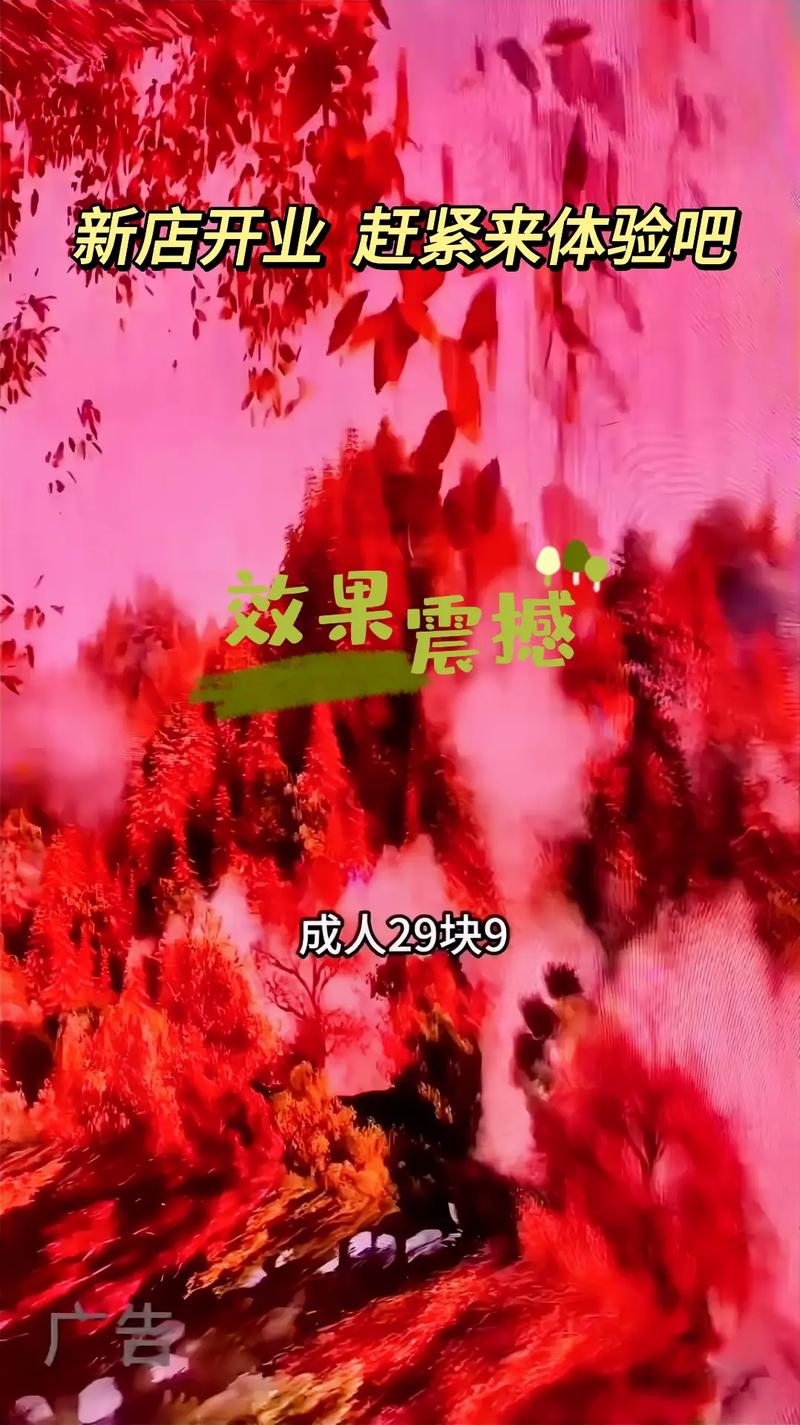 伦理片影院的相关介绍