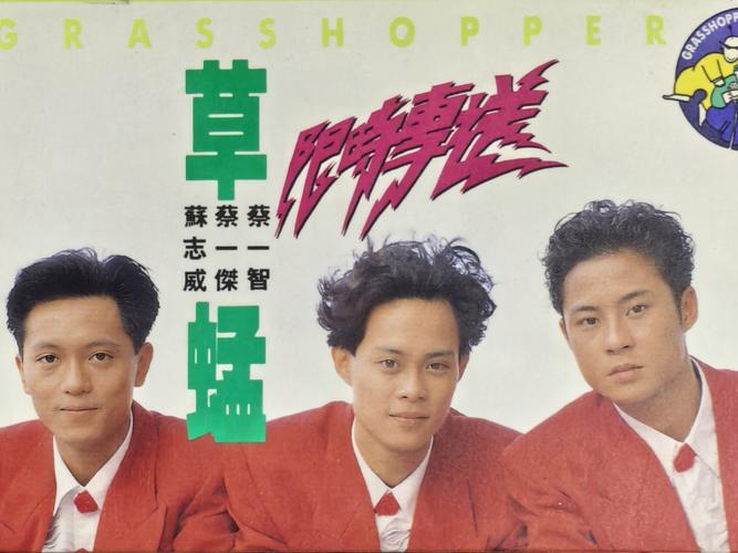 毛片怎么看的相关介绍